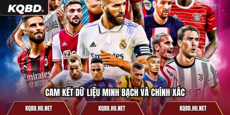 Cam kết dữ liệu minh bạch và chính xác