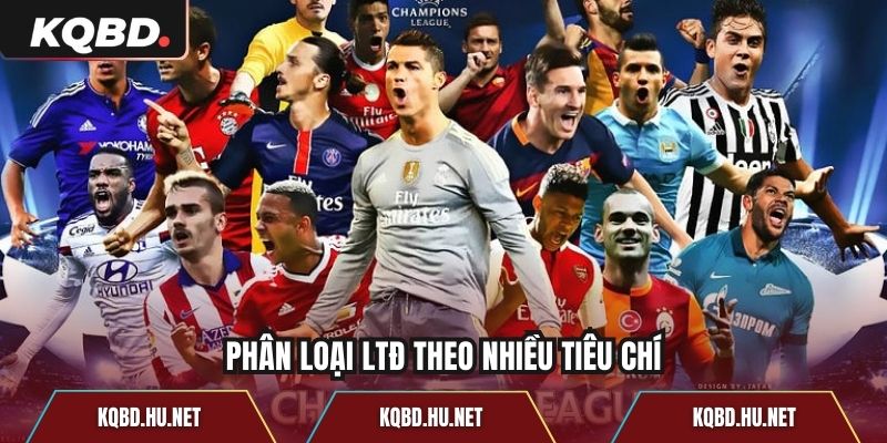 Phân loại LTĐ theo nhiều tiêu chí